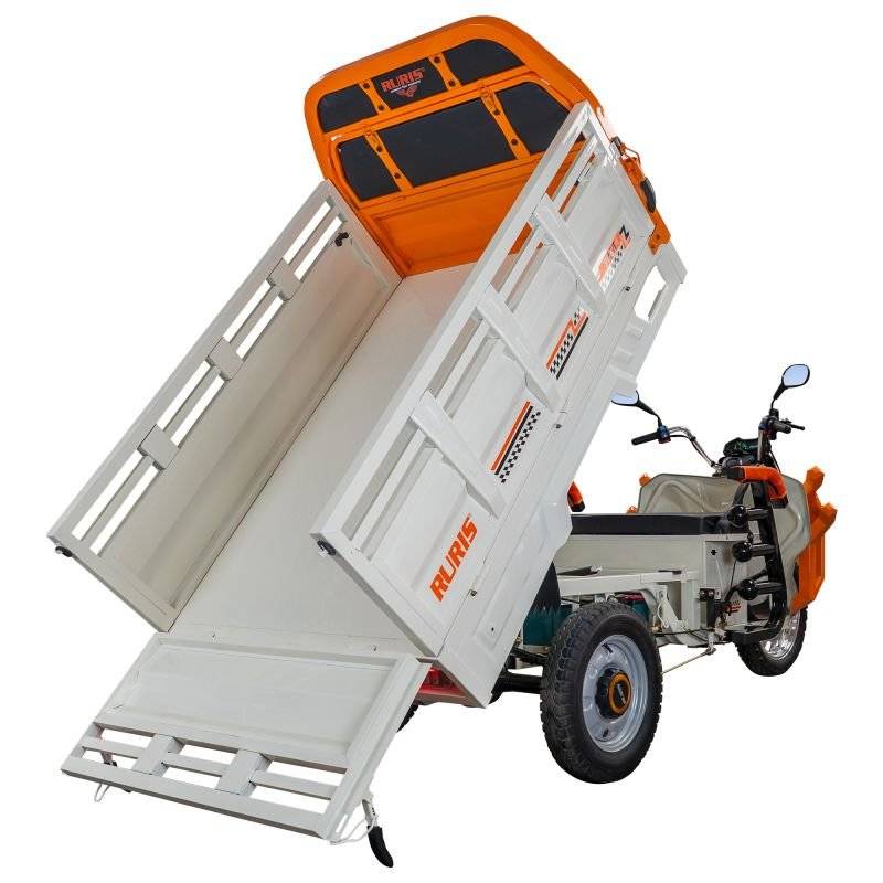 Triciclu electric Cargo RURIS PILOT 3130 A 3600 W