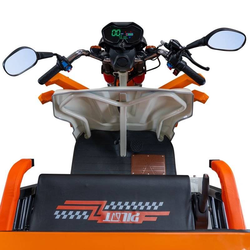 Triciclu electric Cargo RURIS PILOT 3130 A 3600 W